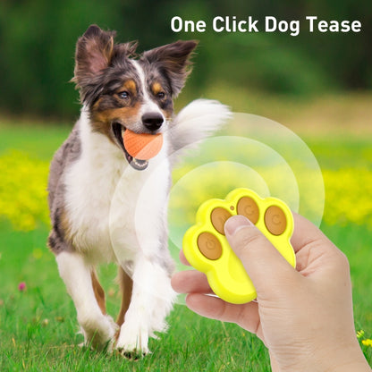 O2 6cm Intelligent Remote Control Pet Toy Dog Training Ball, Remote Control, Remote Control P, 6cm Remote Control