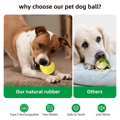 O2 6cm Intelligent Remote Control Pet Toy Dog Training Ball, Remote Control, Remote Control P, 6cm Remote Control