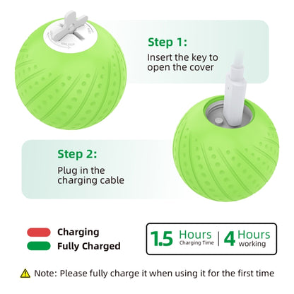 O2 6cm Intelligent Remote Control Pet Toy Dog Training Ball, Remote Control, Remote Control P, 6cm Remote Control