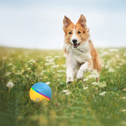 O3 8.5cm Intelligent Auto Pet Toy Dog Training Luminous Ball with Radar Trigger, Auto
