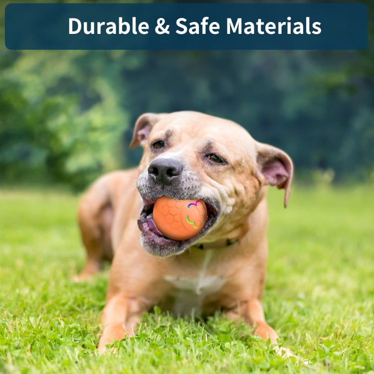 O5 Smart Pet Cat Toy Ball Luminous Yo-Yo Diameter 2.4 inches Standalone Version