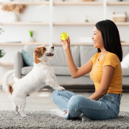 O5 Smart Pet Cat Toy Ball Luminous Yo-Yo Diameter 2.4 inches Standalone Version