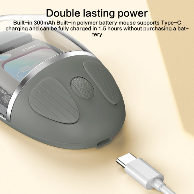 ZGA Colorful Transparent Dual Mode Wireless 2.4G + Bluetooth 5.0 Mouse