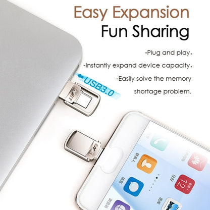 USB 3.1 + USB-C Interface Metal Twister Flash U Disk, Standard, 128G