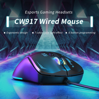 ONIKUMA CW917 RGB 3600DPI Wired Mouse, CW917 Wired Mouse