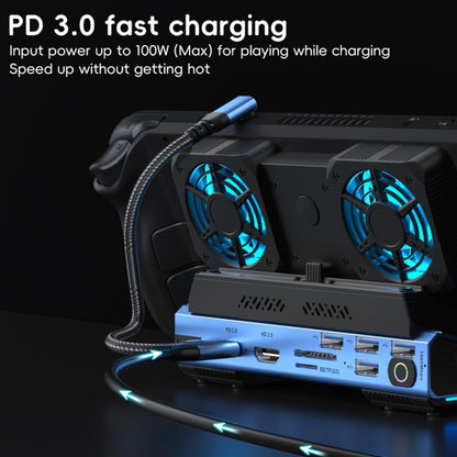 YCE-V279 10 in 1 USB-C Gaming Dock Station Hard Disk Enclosure with Detachable Fan, 10 in 1