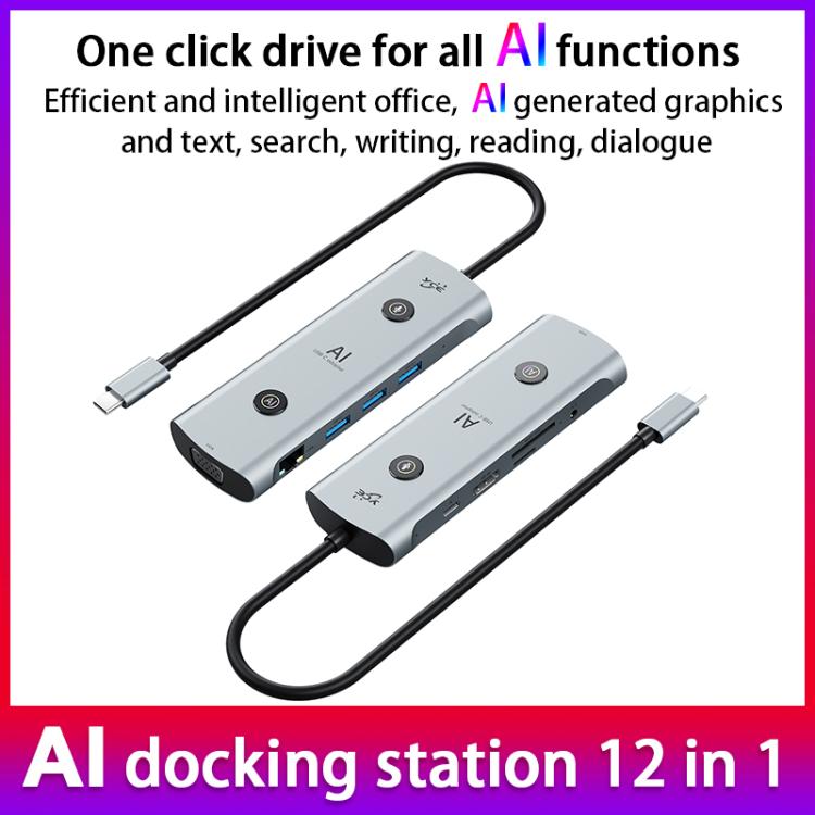 YCE V172 12 in 1 USB-C / Type-C HUB Adapter AI Docking Station, V172