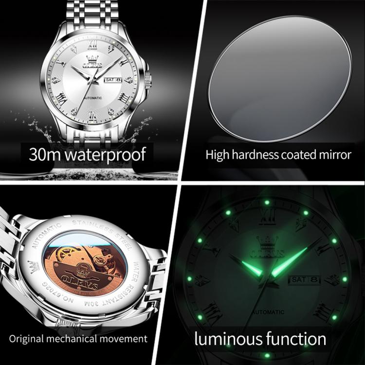 OLEVS 6702 Men Waterproof Luminous Dual Calendar Mechanical Watch