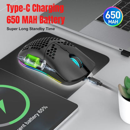 HXSJ T66 3 Modes Wired 2.4G BT5.3 Wireless RGB Rechargeable Mouse, T66
