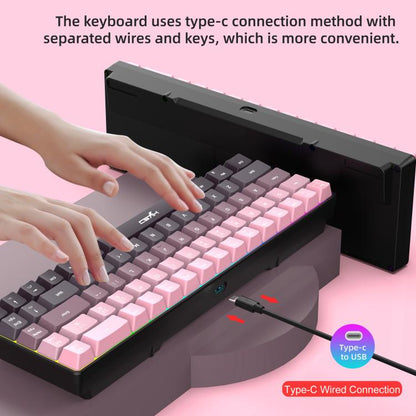 HXSJ V200 Gradient Color 68-key RGB Backlight Wired Membrane Keyboard