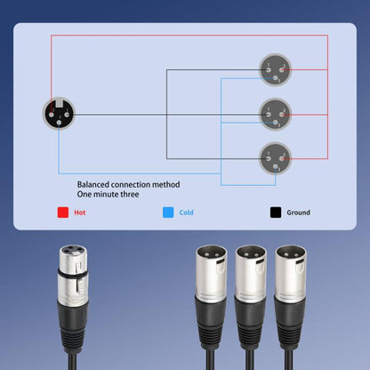 3-Way Splitter Audio Cable, Length: 60cm, XLR Female to 3 XLR Male, XLR Male to 3 XLR Female