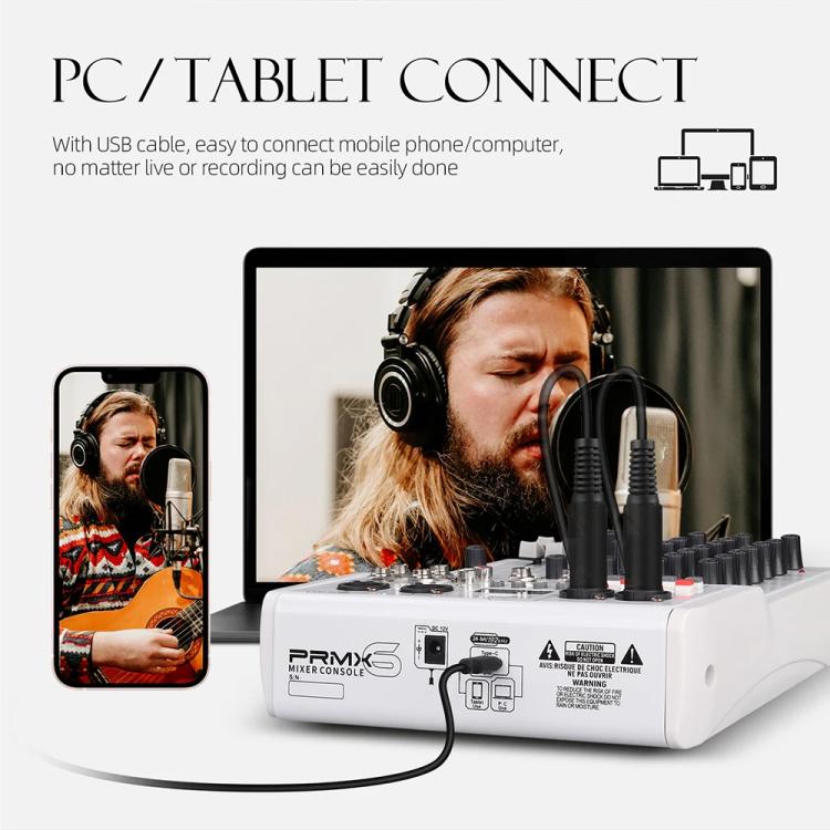 DEBRA PRMX-6 4-Channels Audio Mixer DSP Reverb for Live Recording, PRMX-6