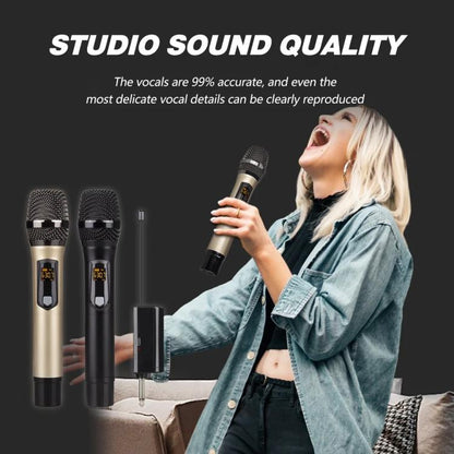 DEBRA A-25 UHF Wireless Rechargeable Microphone System for Stage KTV, One Mic, Two Mic