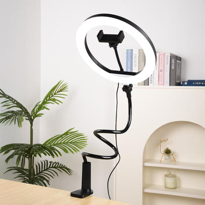 10 inch Striped Selfie Live Streaming Photography Lazy Stand LED Ring Fill Light Set, 10 inch