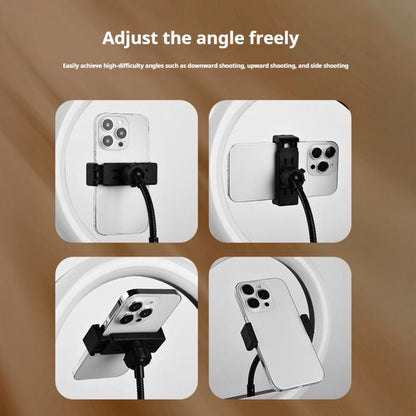 10 inch Striped Selfie Live Streaming Photography Lazy Stand LED Ring Fill Light Set, 10 inch