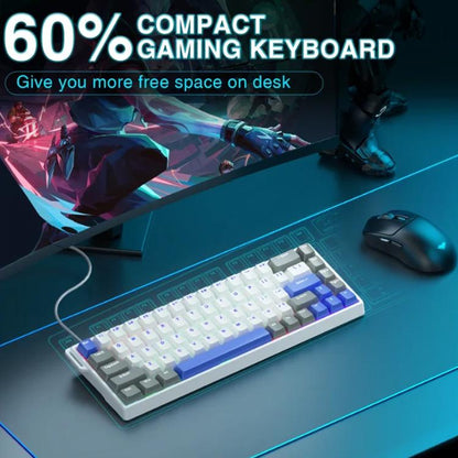 AULA WIN68HE MAX Version 68 Keys RGB Wired Keyboard, WIN68HE Grey+White+Blue Wing Chun Magnetic Axis