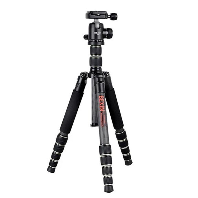 BEXIN BX255C K30 Portable Carbon Fiber Tripod for Camera Dslr, BX255C
