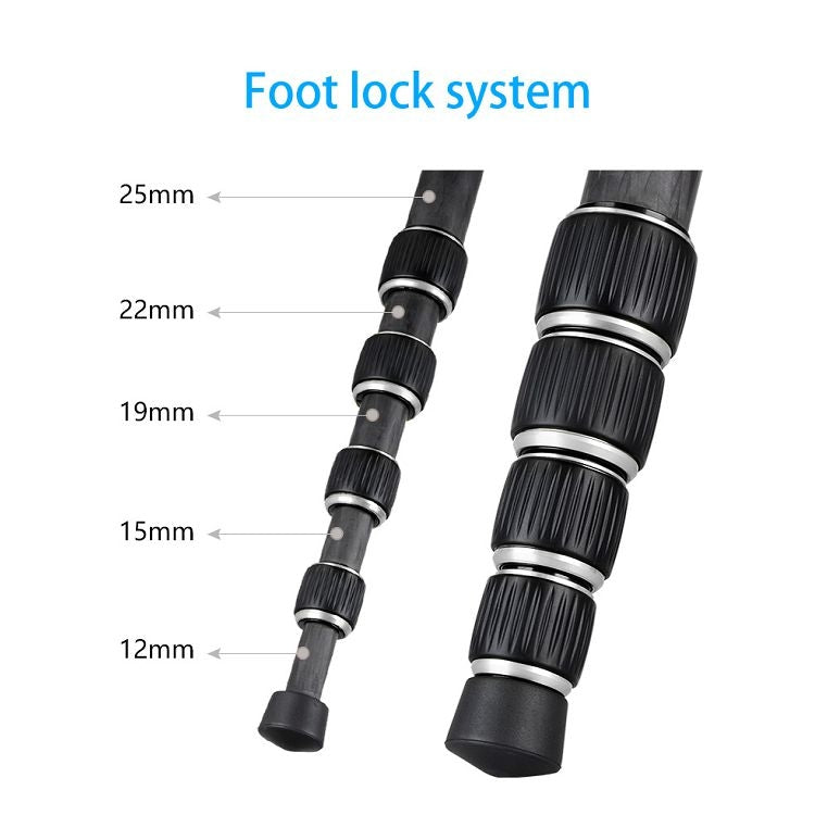 BEXIN BX255C K30 Portable Carbon Fiber Tripod for Camera Dslr, BX255C
