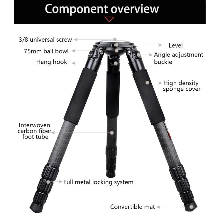 BEXIN ST364C Rugged Camcorder Photographic Carbon Fiber Big Tripod, Max Tube: 36mm, ST364C