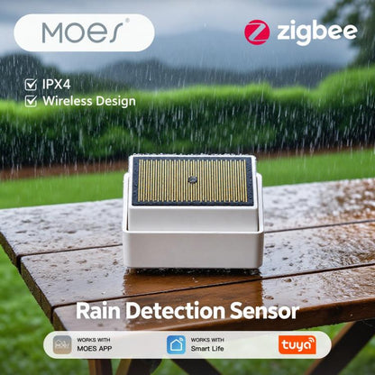 Compatible With ZigBee Tuya Smart Home Rain Sensor with App Remote Monitoring IPX4 Outdoor Light Sensor