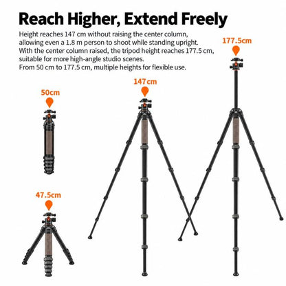 TRIOPO Heracles 405 + X2 Tripod with Ball Head for Photography and Video Shooting, Heracles 405 + X2