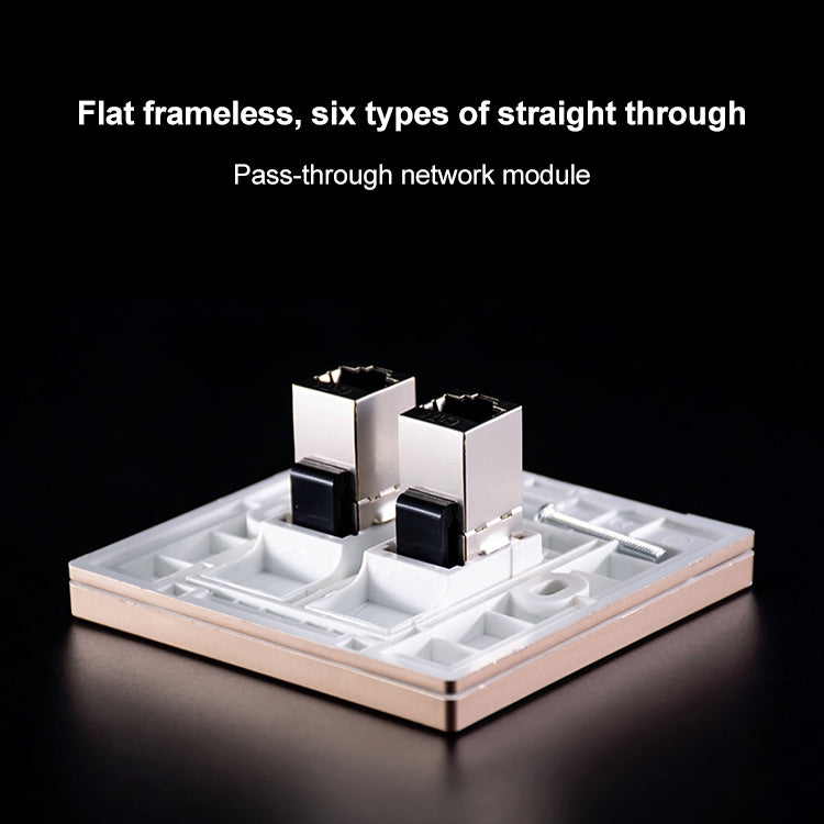 CAT.6 Shielded Pass-through Network Module, Dual Ports Panel + Shielded Pass-through + TV Socket, Dual Ports Panel+Shielded Pass-through+TV Socket