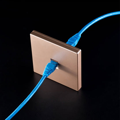 CAT.6 Shielded Pass-through Network Module, Dual Ports Panel + Shielded Pass-through, Dual Ports Panel+Shielded Pass-through
