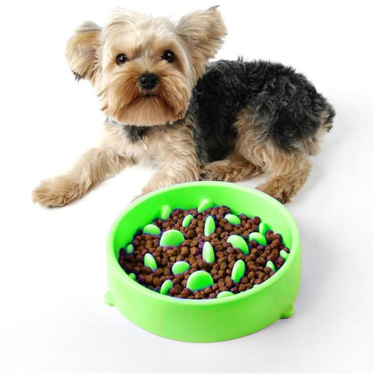Pet Bowl Preventing Choking PP Bowl, Round Green