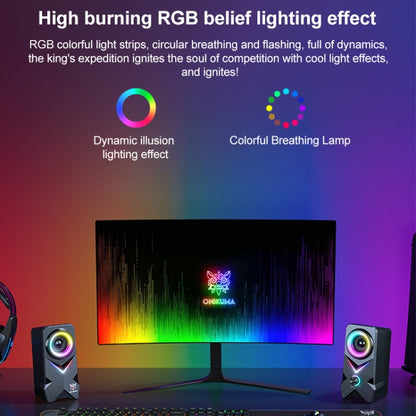 L2 Outdoor Portable RGB Light USB Bluetooth Wireless Speaker, L2