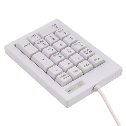 DX-21A 21-keys USB Wired Mechanical Black Shaft Mini Numeric Keyboard, DX-21A