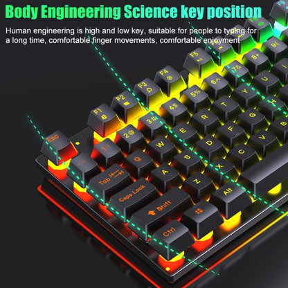 D500 RGB Brilliant Backlight Mouse and Keyboard Set