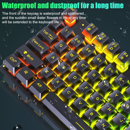 D500 RGB Brilliant Backlight Word ThroughKeyboard and Mouse Set