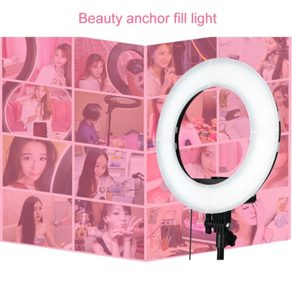 12 Inch Anchor Photography Self-timer LED Ring Fill-in Light, 12 Inch