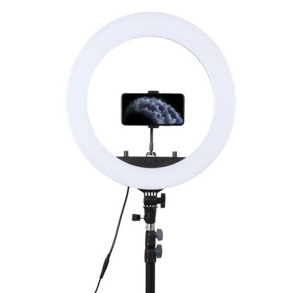 18 inch 55W Two-speed Dimmable Anchor Photography Self-timer LED Ring Fill-in Light with Tripod, 18 Inch