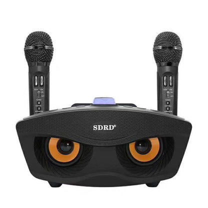 SD-306 2 in 1 Family KTV Portable Wireless Live Dual Microphone + Bluetooth Speaker, SD-306(Black)