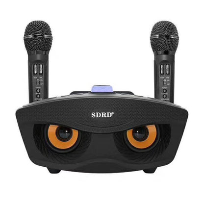 SD-306 2 in 1 Family KTV Portable Wireless Live Dual Microphone + Bluetooth Speaker, SD-306(Black)