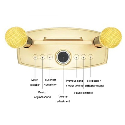 SD-306 2 in 1 Family KTV Portable Wireless Live Dual Microphone + Bluetooth Speaker, SD-306(Black)
