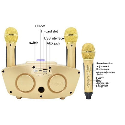 SD-306 2 in 1 Family KTV Portable Wireless Live Dual Microphone + Bluetooth Speaker, SD-306(Black)