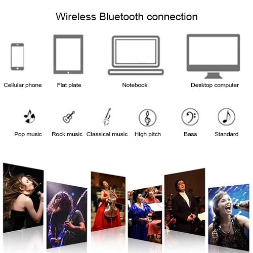 SD-306 2 in 1 Family KTV Portable Wireless Live Dual Microphone + Bluetooth Speaker, SD-306(Black)