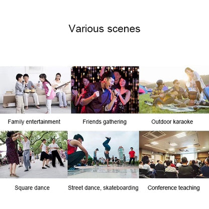 SD-306 2 in 1 Family KTV Portable Wireless Live Dual Microphone + Bluetooth Speaker, SD-306(Black)
