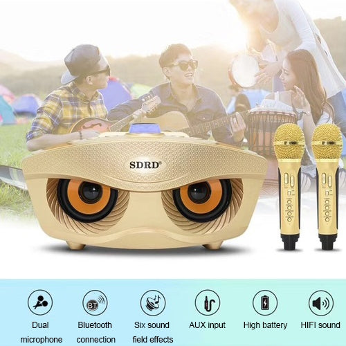 SD-306 2 in 1 Family KTV Portable Wireless Live Dual Microphone + Bluetooth Speaker, SD-306(Black)