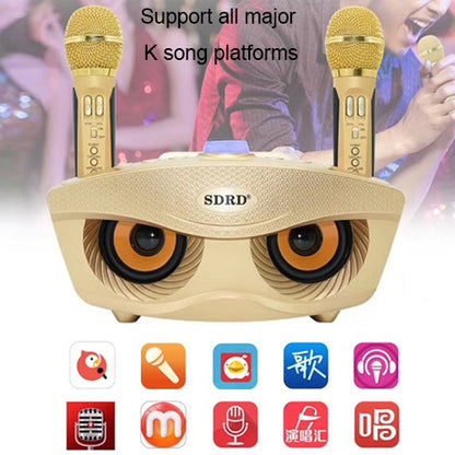 SD-306 2 in 1 Family KTV Portable Wireless Live Dual Microphone + Bluetooth Speaker, SD-306(Black)