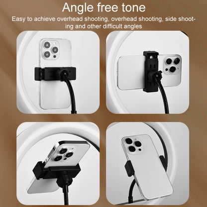 10 inch Adjustable Live Broadcast LED Fill Light Tripod with Phone Clamp