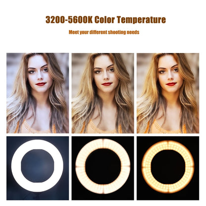 MANTOO RL-12 II 100-240V 28W 12 inch Two-color Dimmable Ring Fill Light with Tripod, 12 inch