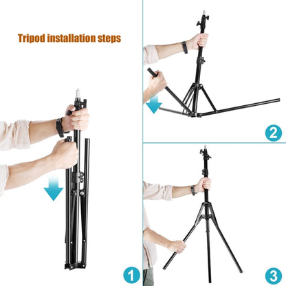 MANTOO RL-12 II 100-240V 28W 12 inch Two-color Dimmable Ring Fill Light with Tripod, 12 inch