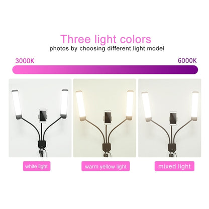 RK39 Portable Tri-color Adjustable Brightness Double Arms Fill Light with Phone Clip