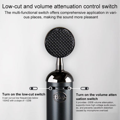 Logitech Blue Spark SL Network K Song Anchor Equipment Condenser Recording Microphone, Blue Spark SL