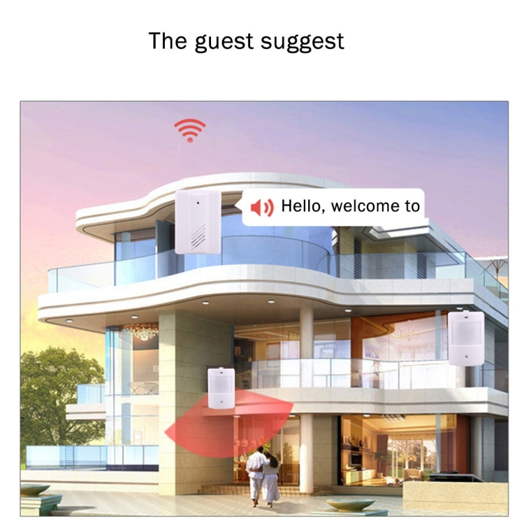 YF-0156 1 to 2 Good Safe Wireless Electro Guard Watch Remote Detective System Kit for Home Office, 1 x Receiver + 2 x  Detector, YF-0156