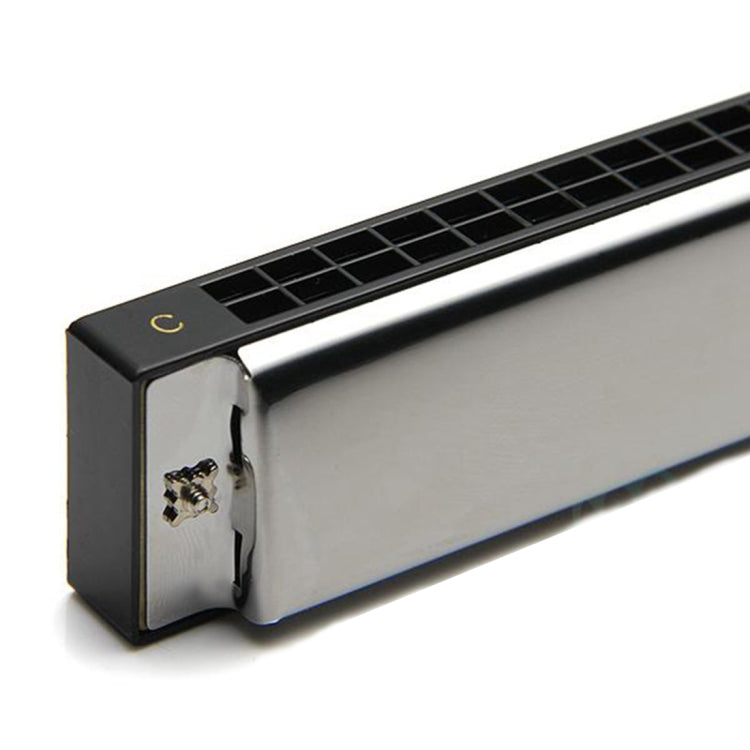 Swan 24-holes Polyphonic Harmonica Beginner Children Adult Students Playing Musical Instruments, 24-holes Polyphonic Harmonica