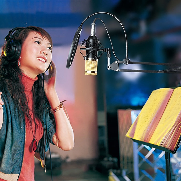 BM-800 Network K-Song Dedicated High-end Metal Shock Mount Microphone Set, BM800 Kit Pink, BM800 Kit Blue, BM800 Kit Black